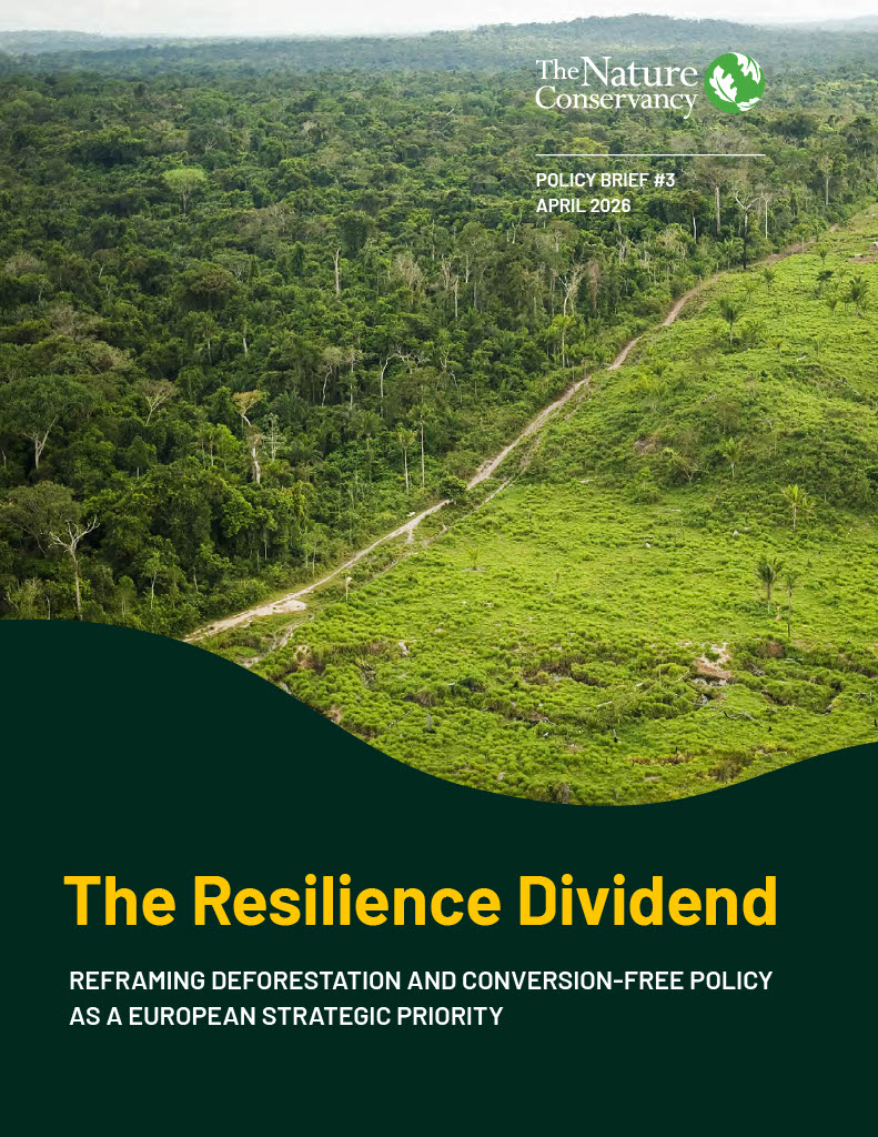 Cover image for EU DCF policy brief.