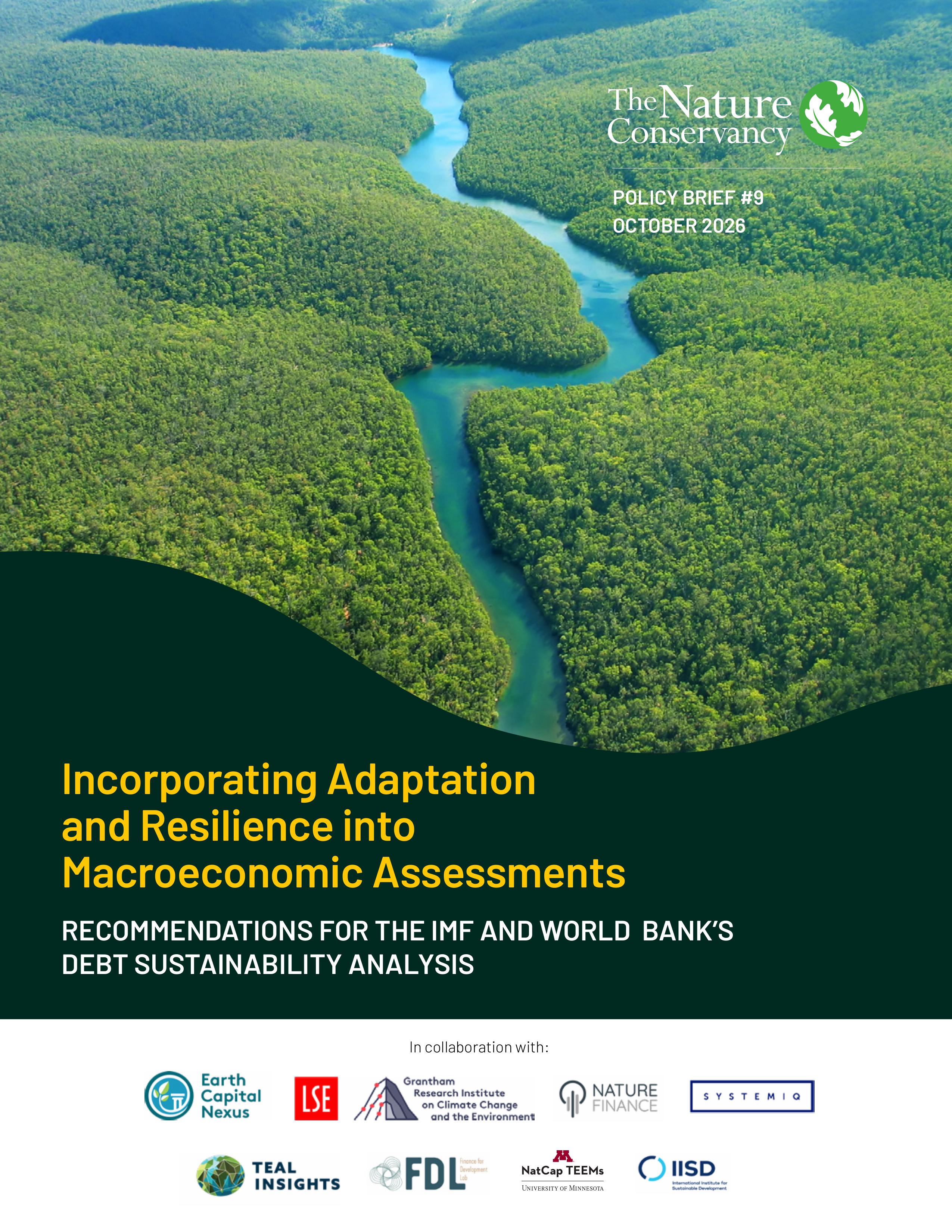 Cover image for Incorporating Adaptation and Resilience into Macroeconomic Assessments policy brief.