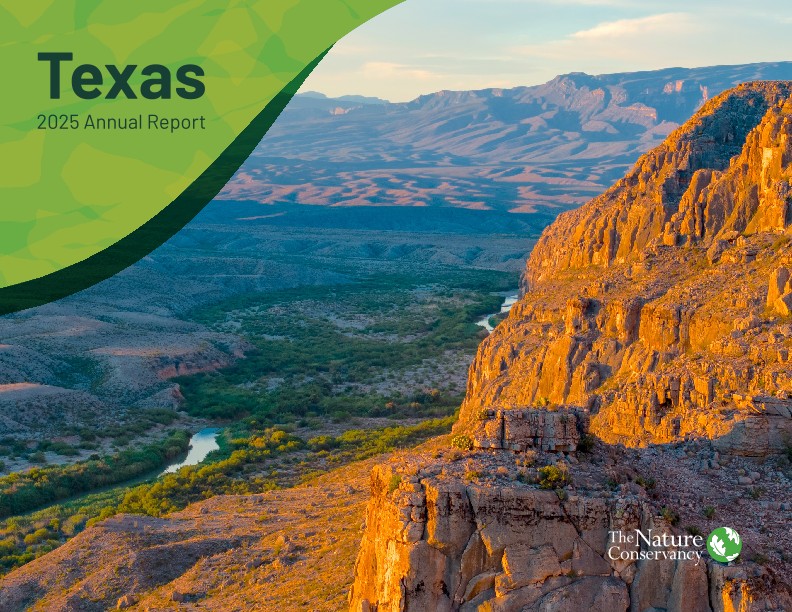 An orange, rocky bluff overlooks a winding blue river.