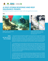 A POST-STORM RESPONSE AND REEF INSURANCE PRIMER
Building the response capacity to repair reefs damaged by hurricanes