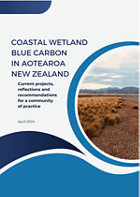 The Nature Conservancy in New Zealand's report on coastal wetland blue carbon in Aotearoa New Zealand.