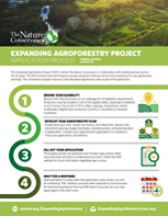 An infographic describing how to apply for the Expanding Agroforestry project.