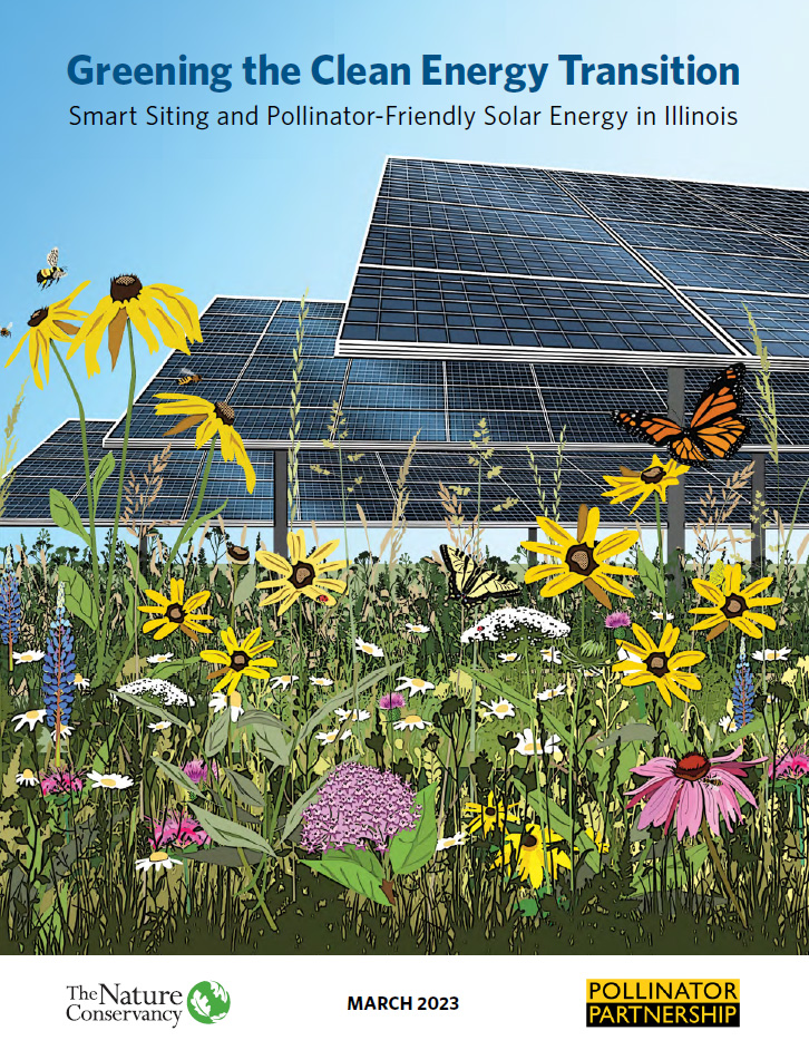 An illustration of butterflies, flowers & solar panels.
