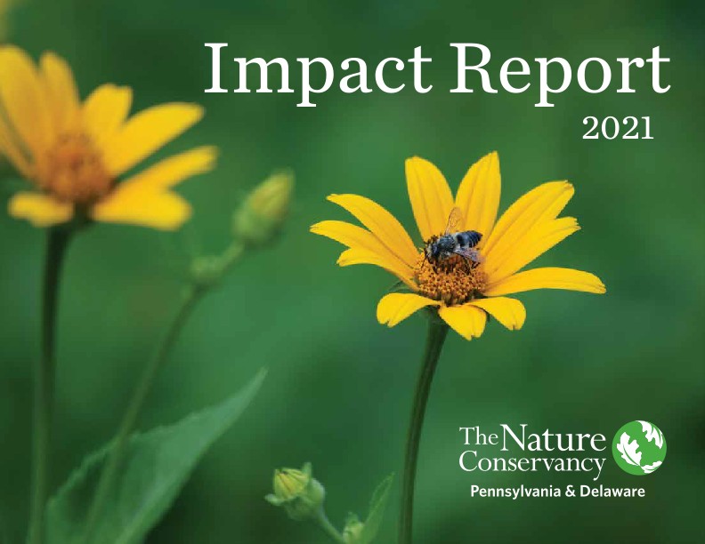 Cover of the 2021 PADE Impact Report.