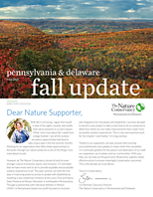 Header photo of a panoramic view of a mountain valley forrest in fall colors. Below, a small headshot of PA/DE Executive Director Lori Brennan and a letter to supporters.