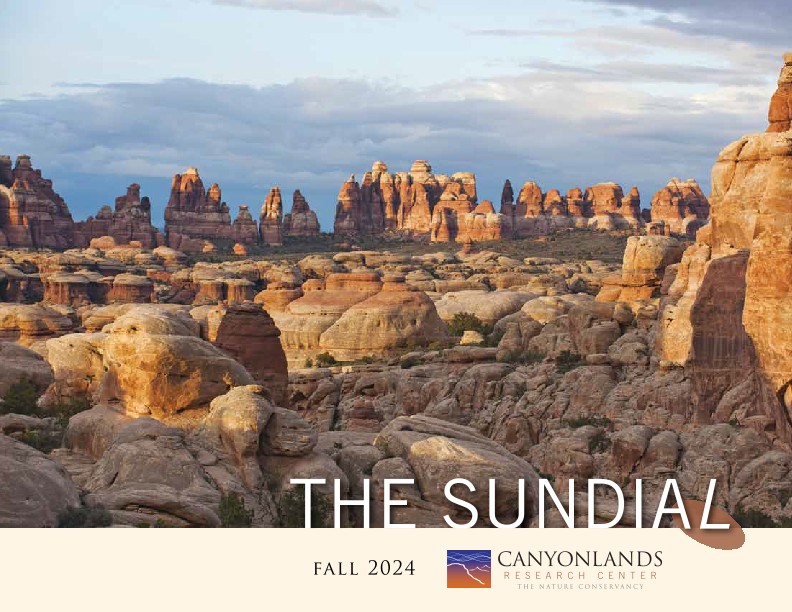 Cover of the fall 2024 Sundial newsletter.