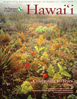 Hawai'i Fall 2020 Newsletter