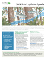 The integrity and success of the Climate Commitment Act is critical to TNC's work to build an equitable and resilient future for communities, lands and waters in Washington.