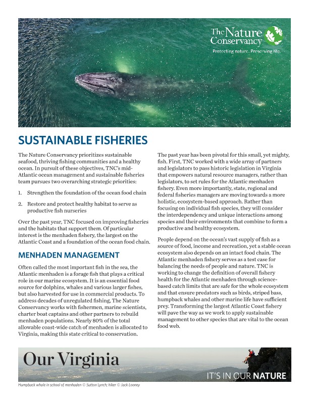 TNC prioritizes sustainable seafood, thriving fishing communities and a healthy ocean.