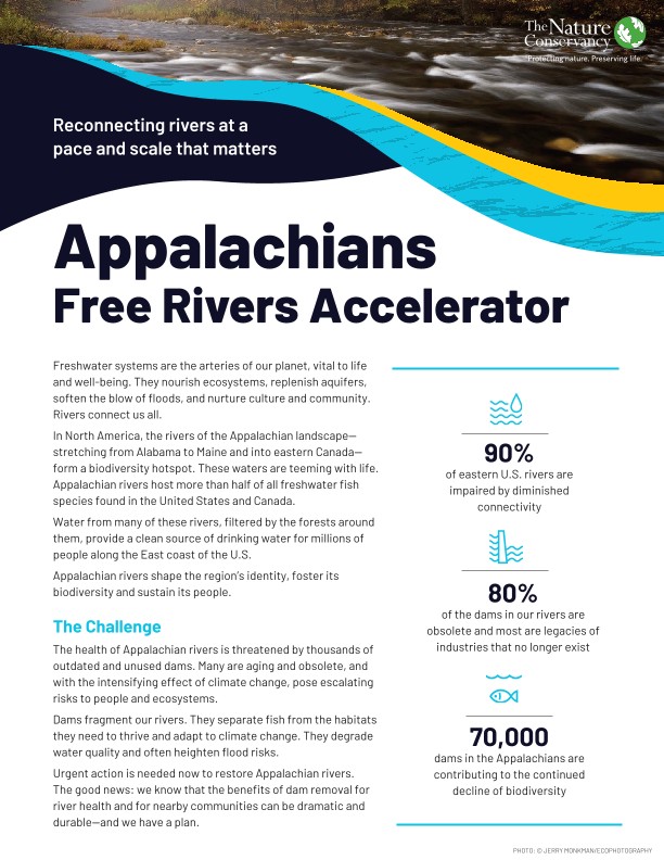 An initiative to unite the policy reforms, technical capacity and project pipeline development required to restore free-flowing rivers at scale.