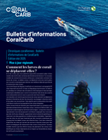 Cover of the CoralCarib Newsletter in French.