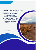 An update of Coastal Wetland Blue Carbon projects in Aotearoa New Zealand.
