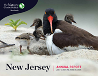 The cover of the 2025 New Jersey annual report.
