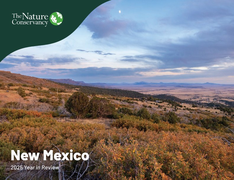 Cover of the 2025 New Mexico annual report.