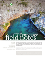 The Nature Conservancy reports on recent conservation wins in its bi-annual newsletter. 