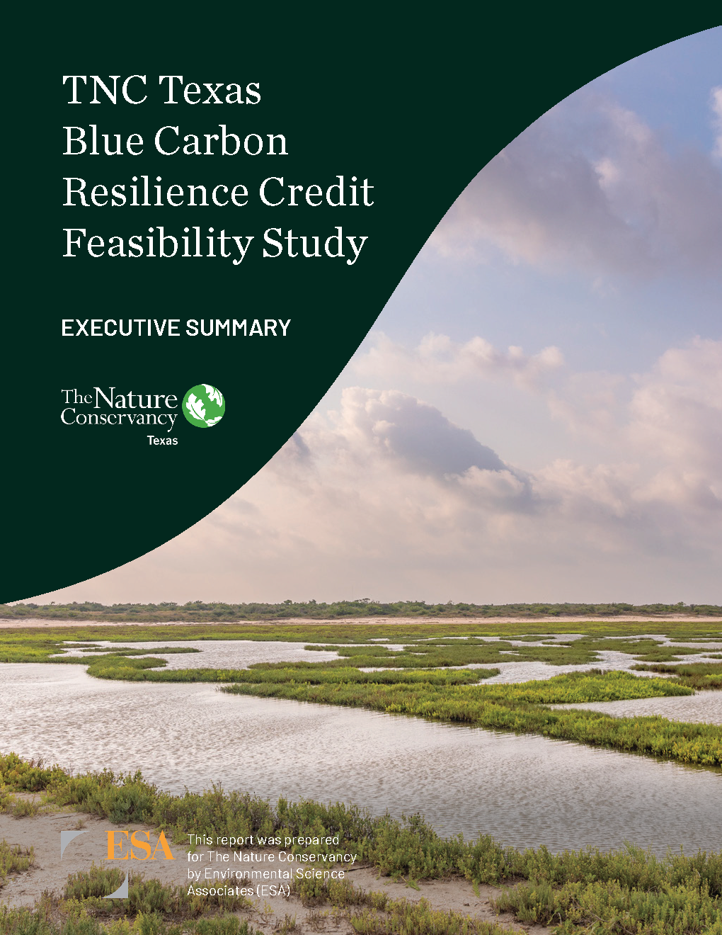 Cover of Blue Carbon Feasibility Study