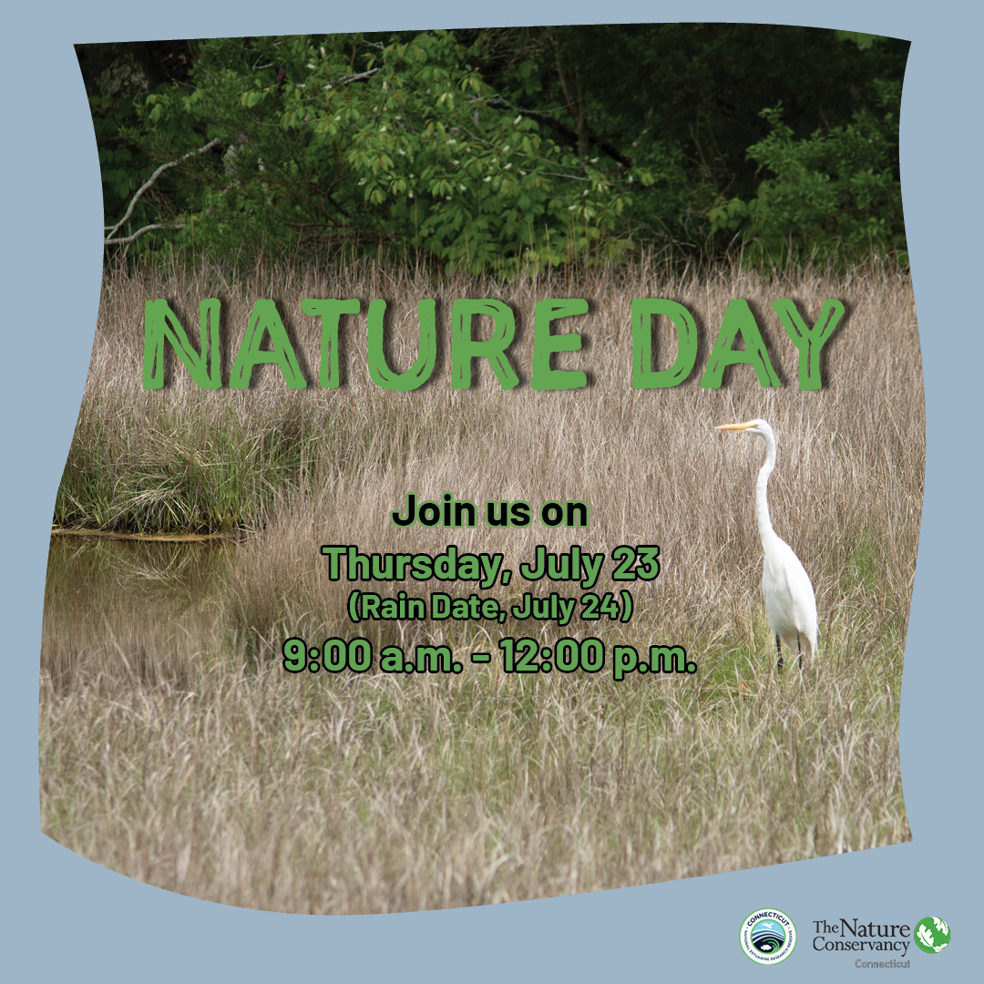 A white bird stands in tall grass near water, with trees in the background. Text reads: Nature Day. Join us on Saturday, July 23 (Rain Date, July 24), 9:00 a.m. - 12:00 p.m. The Nature Conservancy logo is in the corner.