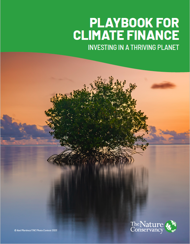 Cover image of a tree in water for the Playbook for Climate Finance.