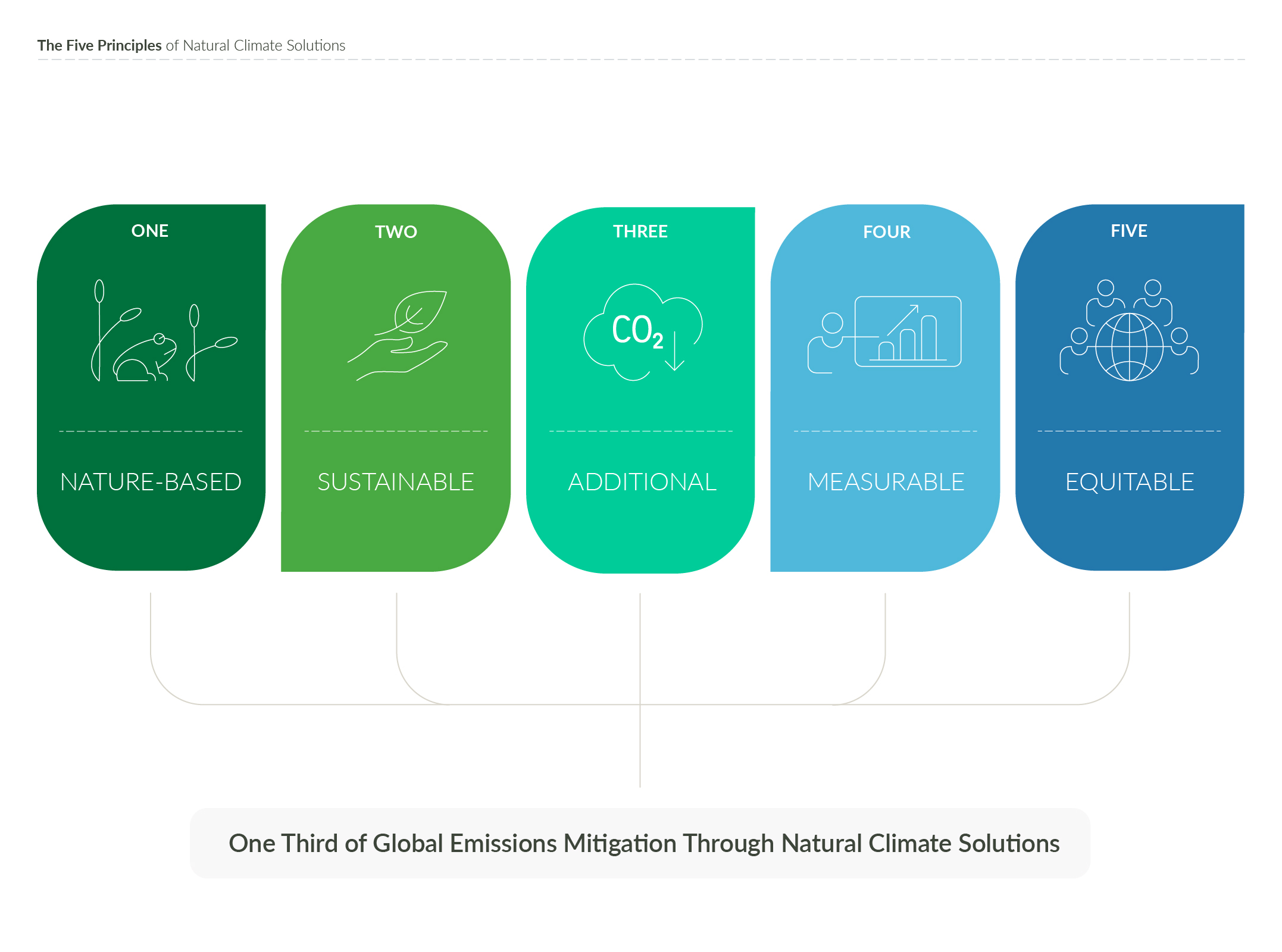 an illustration of the five principles of natural climate solutions