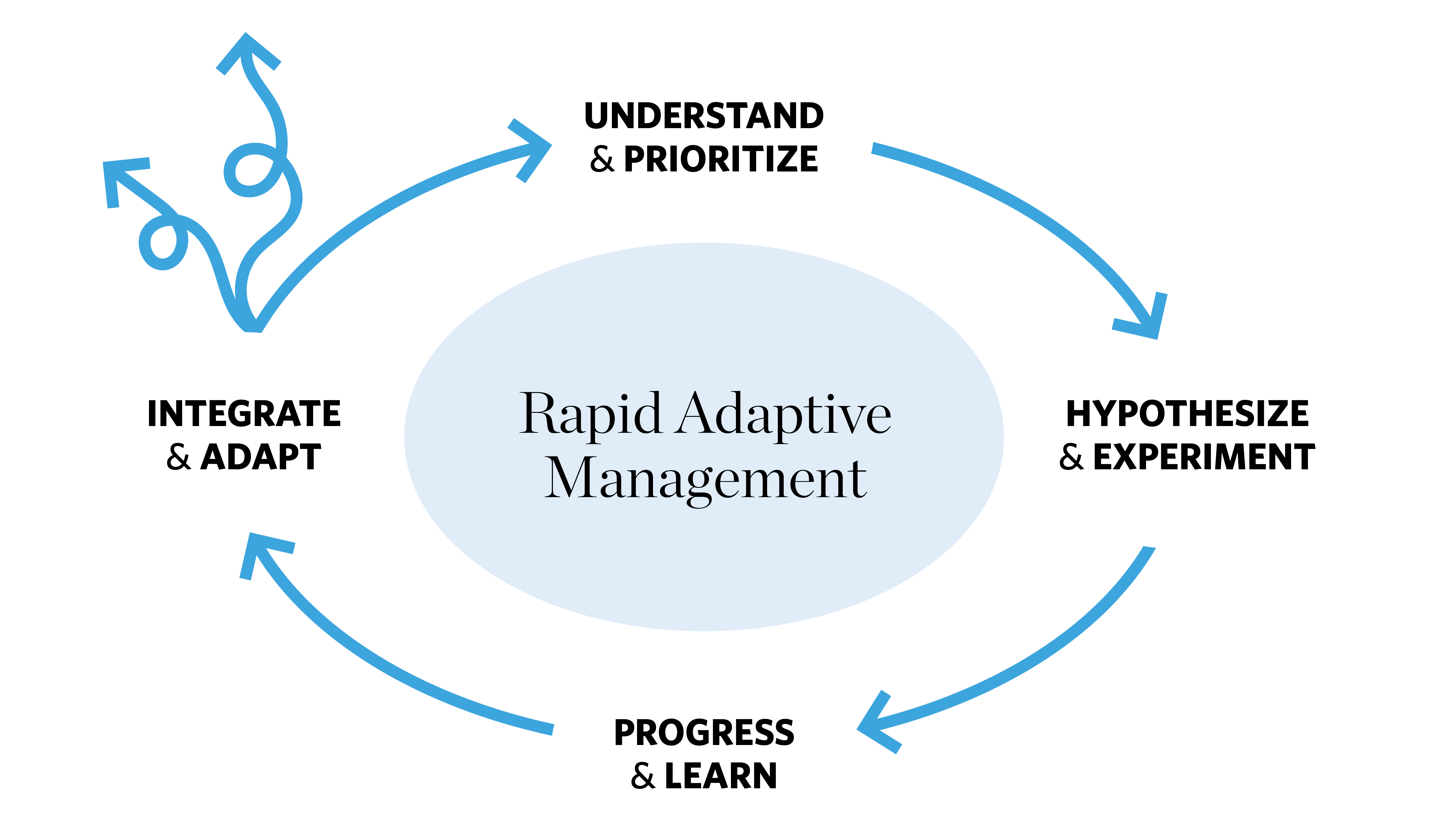 a circular flow chart showing the four stages of Rapid Adaptive Management, which are understand and prioritize, hypothesize and experiment, progress and learn, and integrate and adapt. The cycle keeps repeating, and two arrows splinter off from the last step showing ideas leaving the cycle.