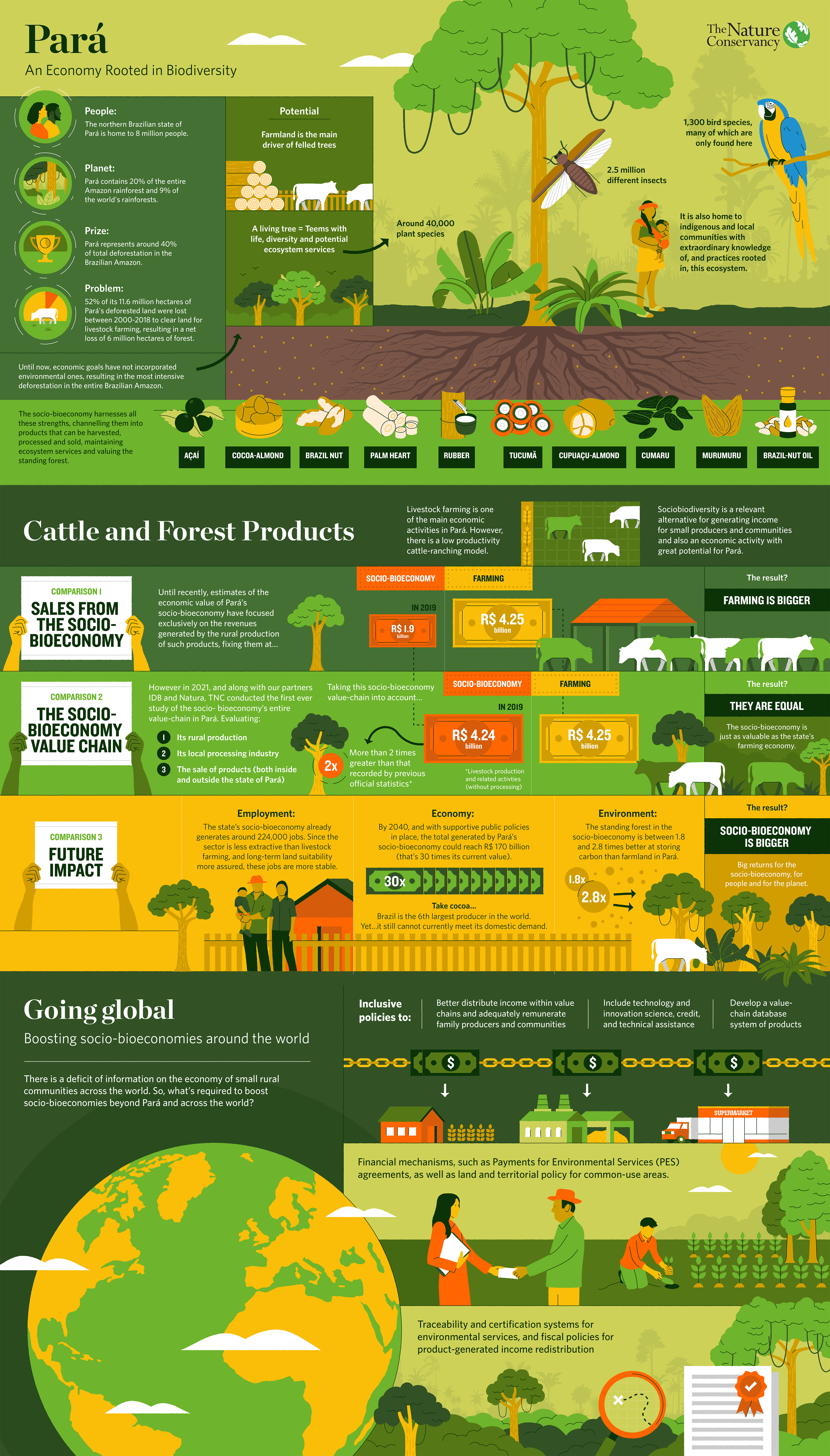 Thumbnail of a green and yellow infographic