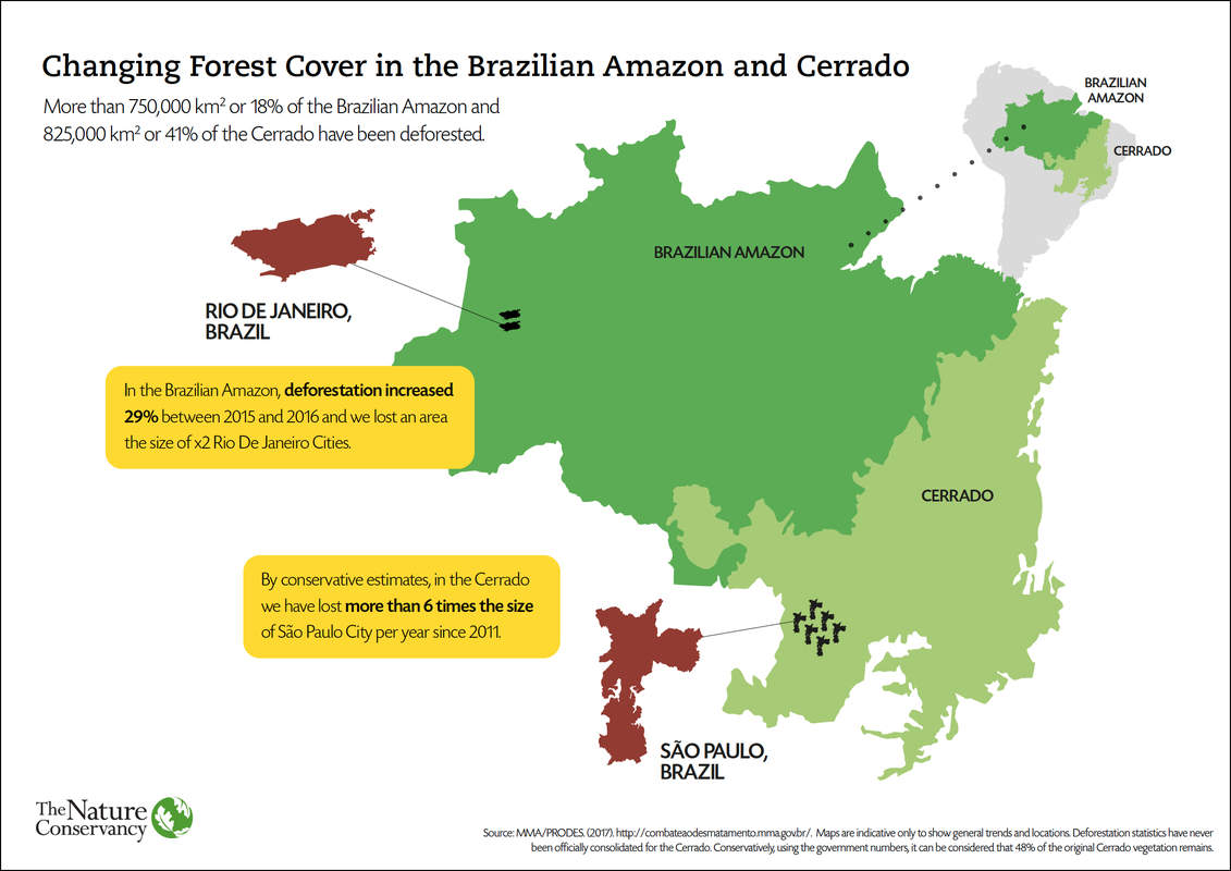 This map shows the amount of deforestation in the Brazilian Amazon and Cerrado, with comparative Brazilian city estimates.