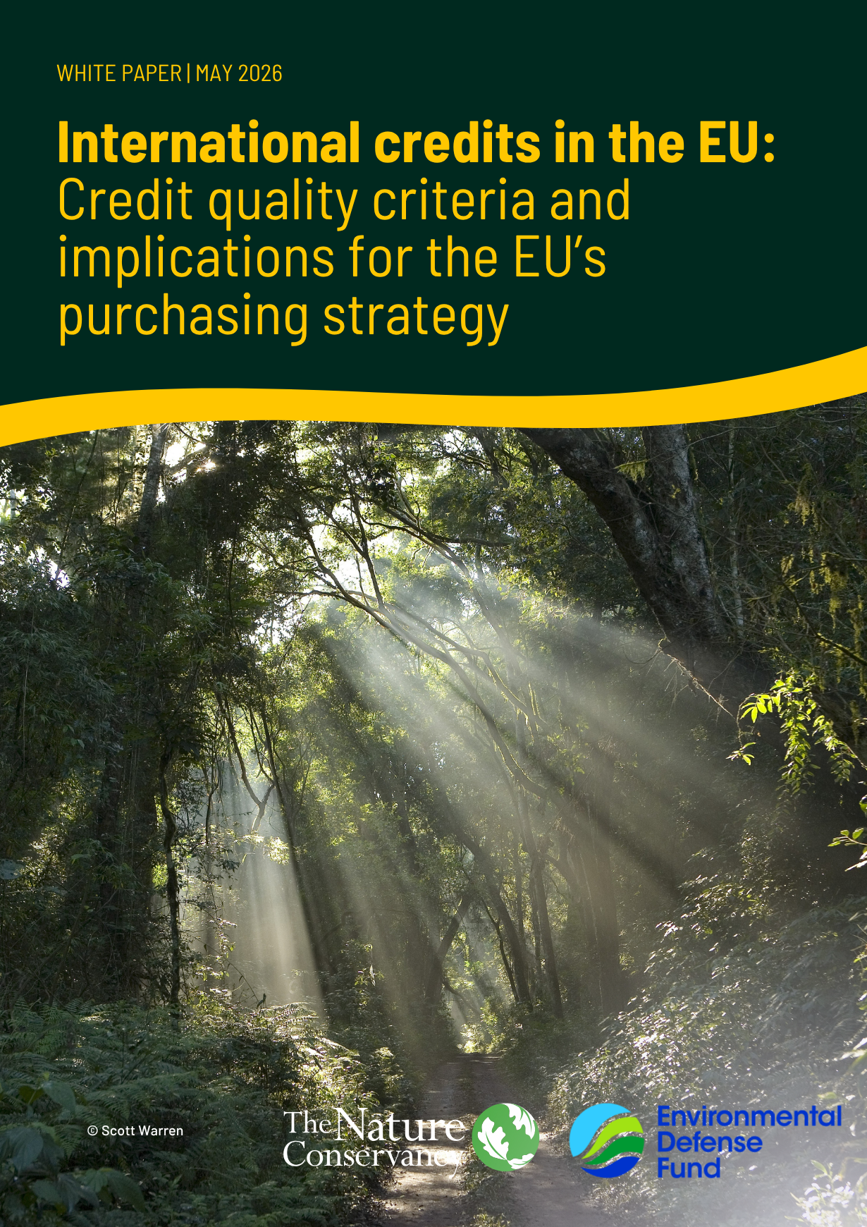 Cover of the International Credits in the EU report.