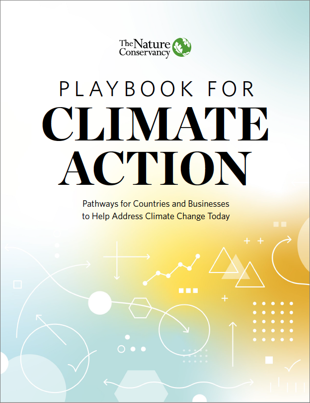 Thumbnail of Playbook for Climate Action