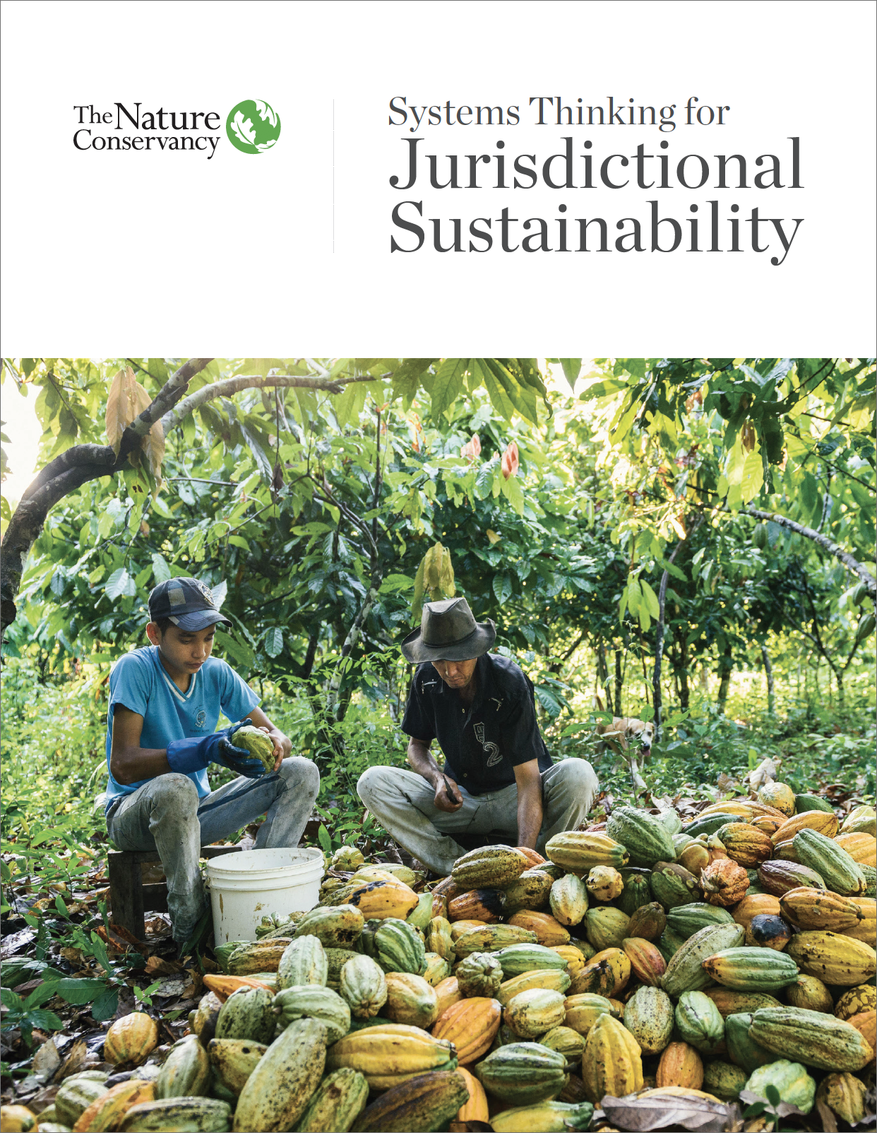 Systems Thinking for Jurisdictional Sustainability
