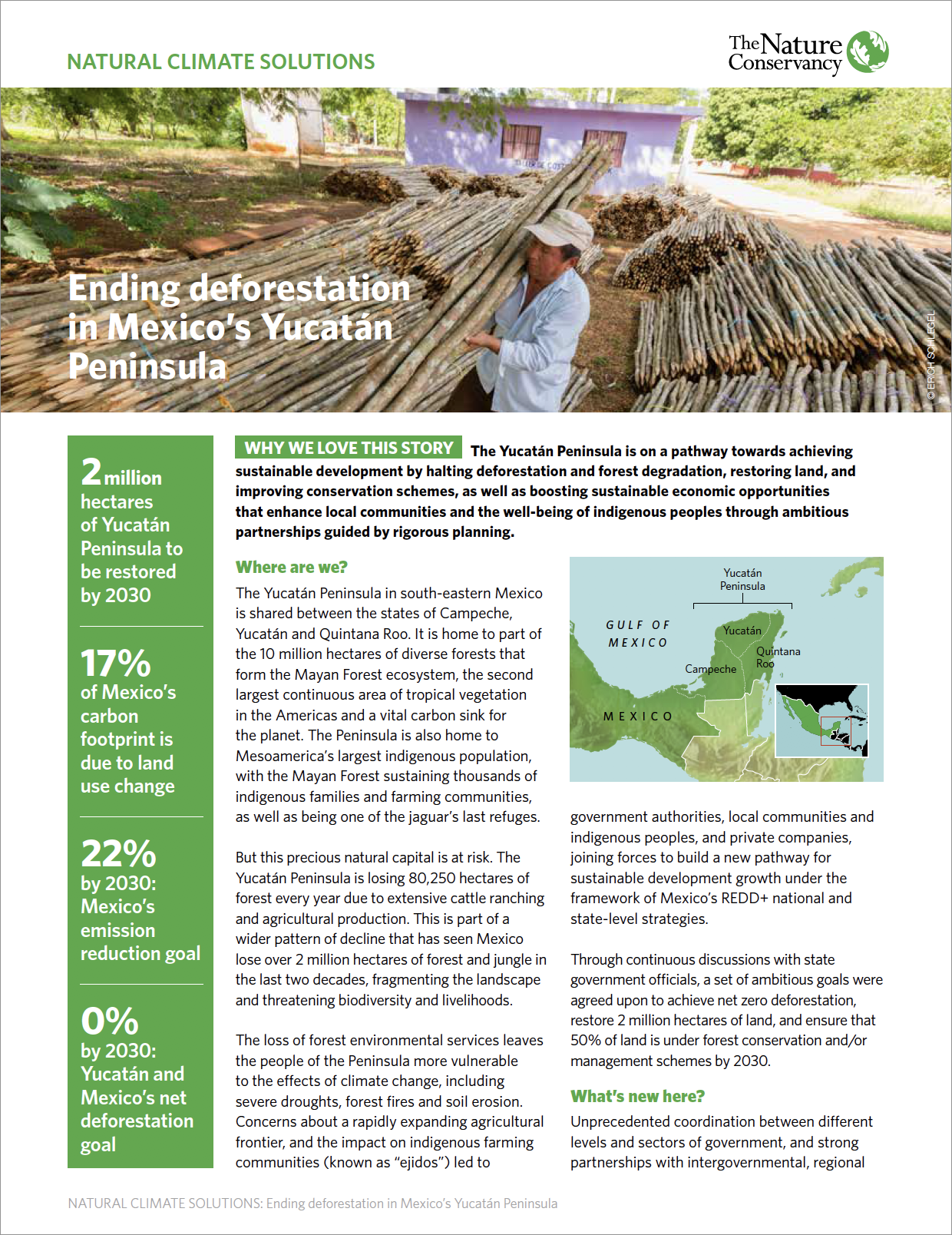 Natural Climate Solutions - Ending deforestation in Mexico's Yucatan Peninsula Case Study