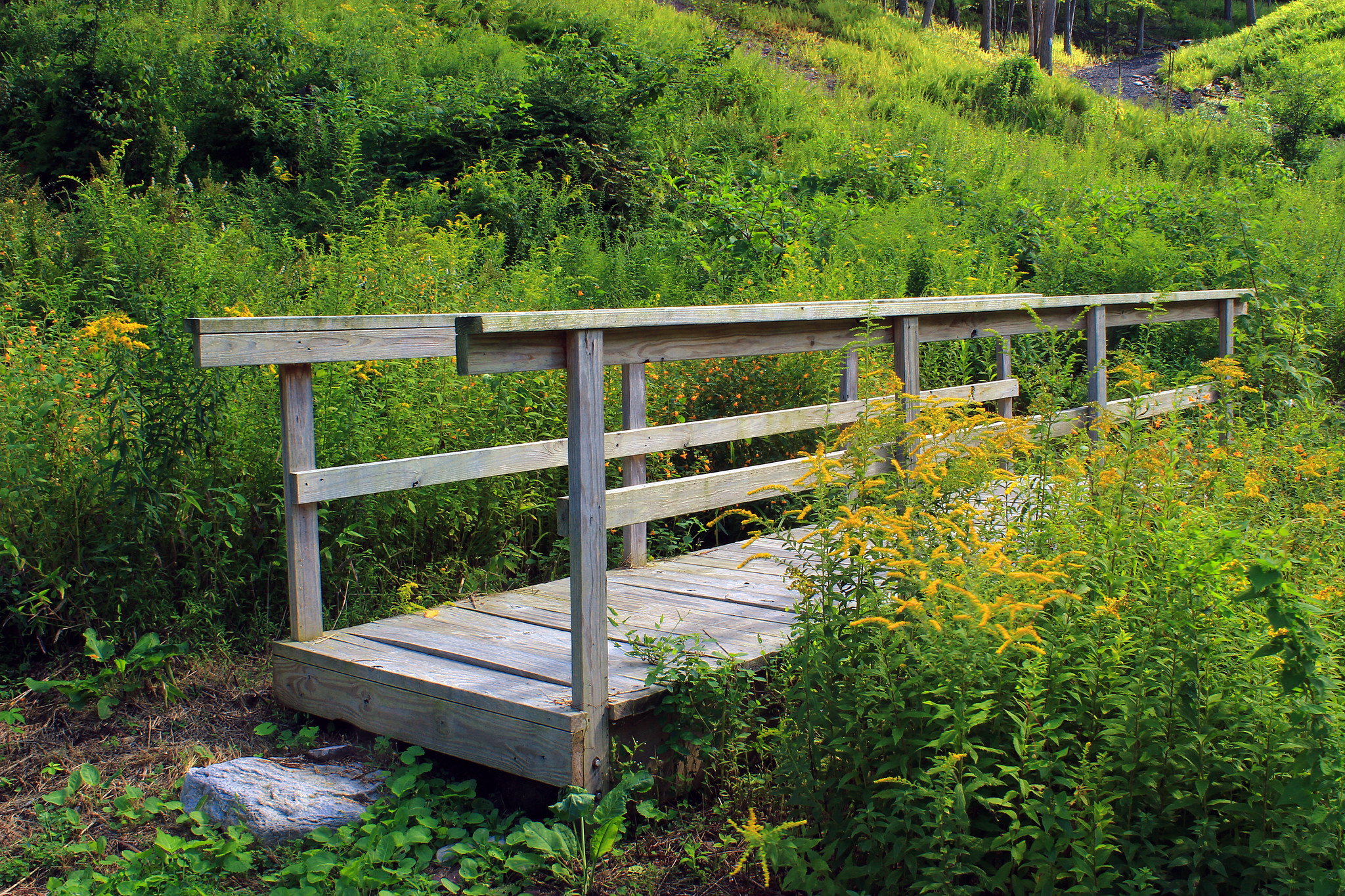 A wooden bridge connects a path in a field.