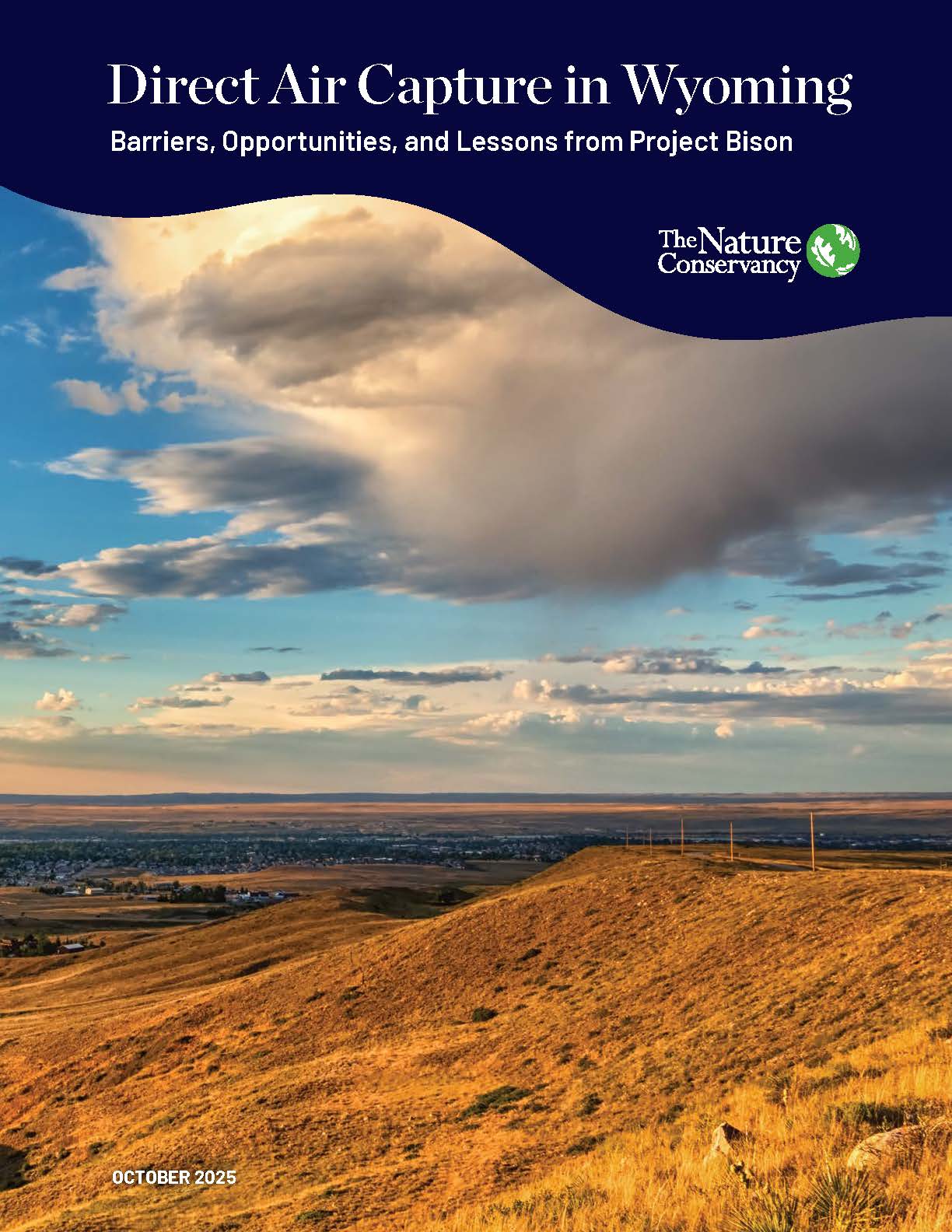 Barriers, Opportunities, and Lessons from Project Bison