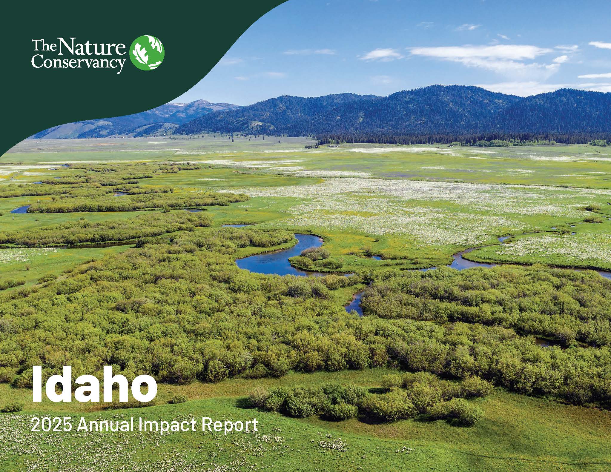 Aerial view of stream with mountains in the background.