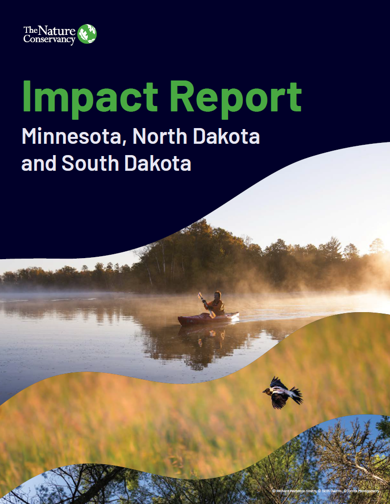 Cover of the 2026 impact report.