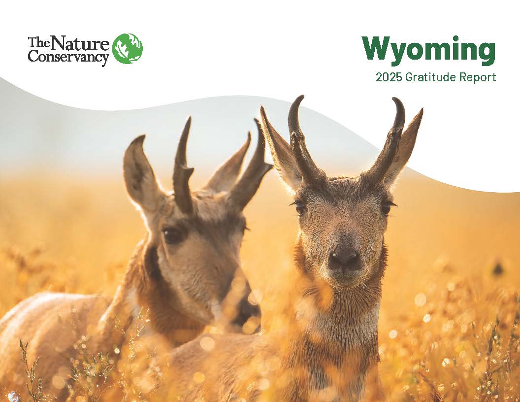 Two pronghorn on cover of report with logo and date.