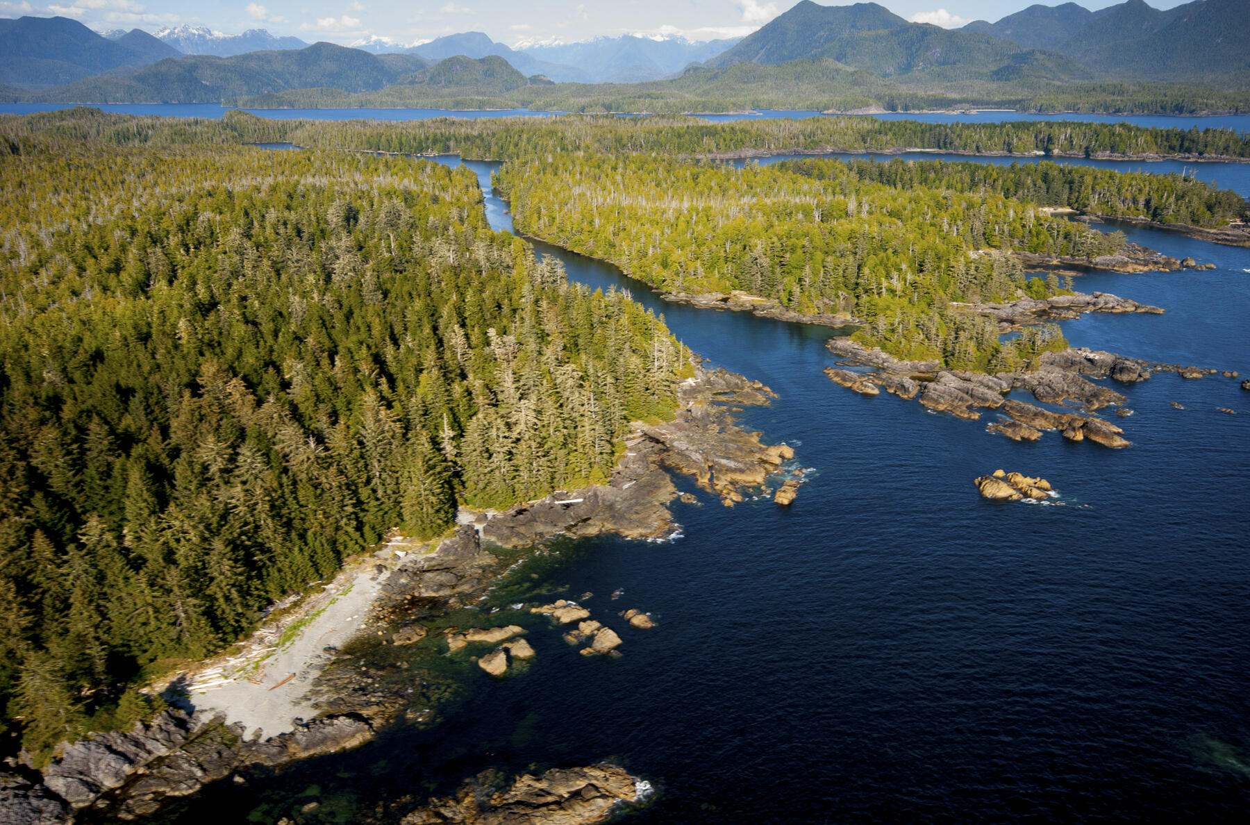 Clayoquot Sound, on the west coast of Vancouver Island.