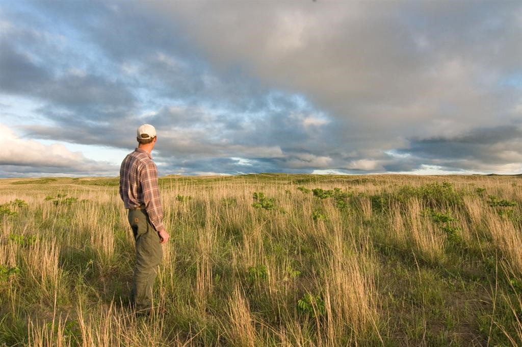 Man stands in tallgrass looking at the horizon.