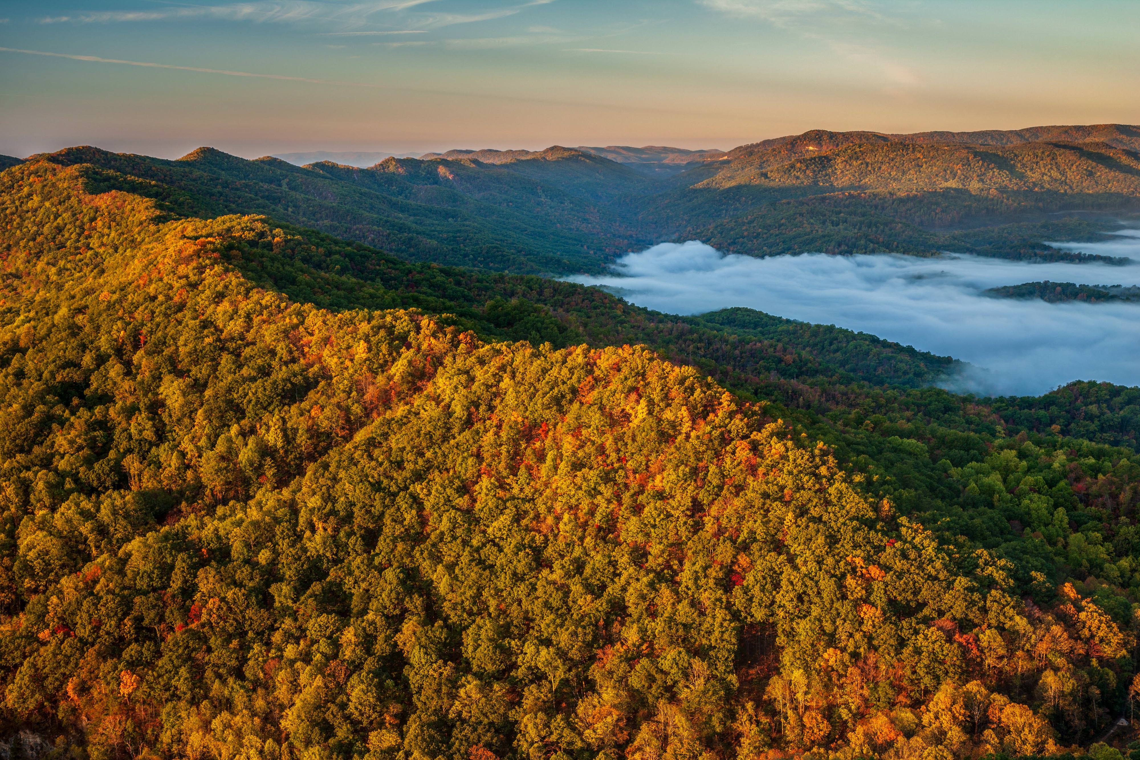 Aerial view of Cumberland Forest.