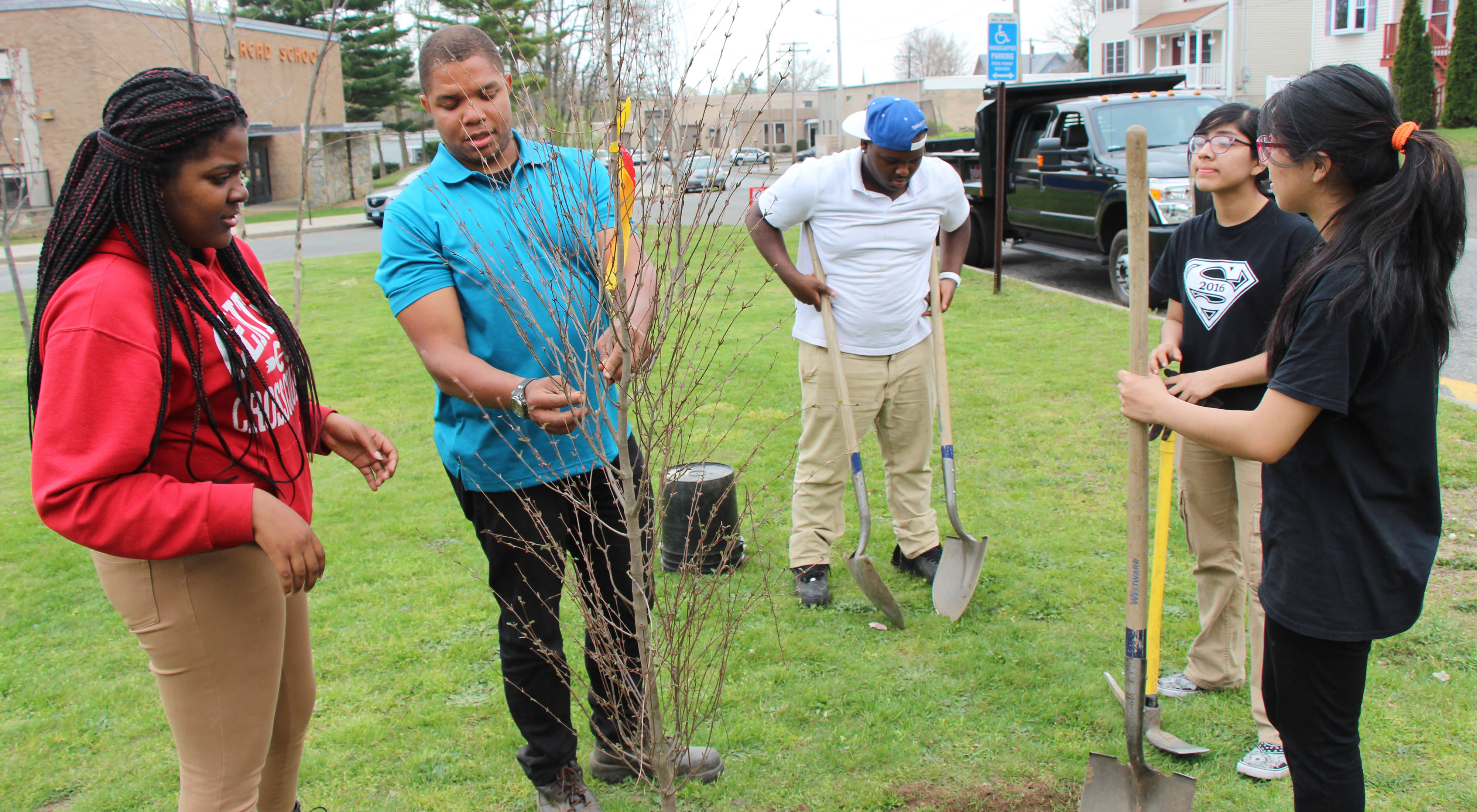 Five young adults plant trees in a park.