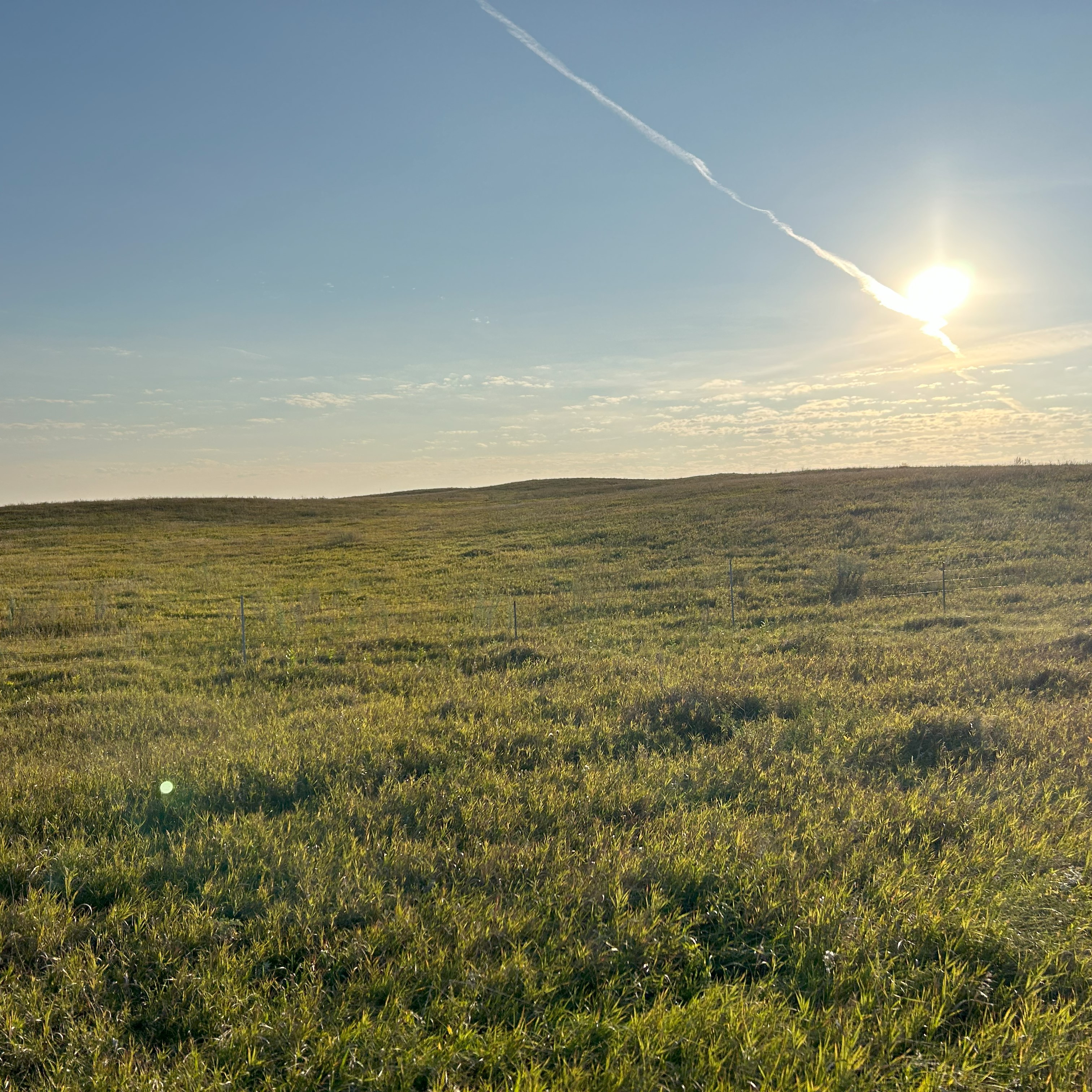 A grassland vista. 