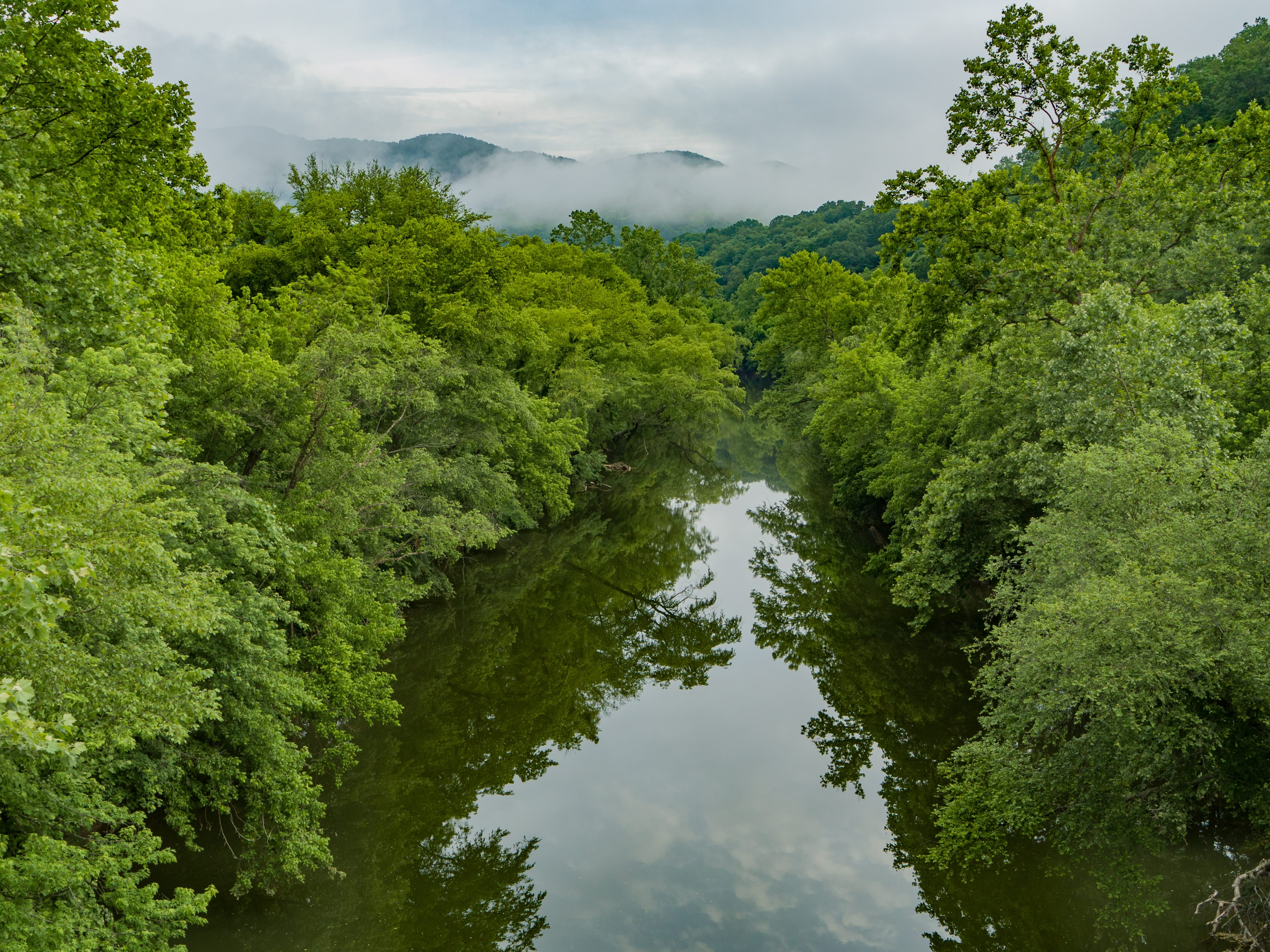 Green trees line aerial view of Cumberland River