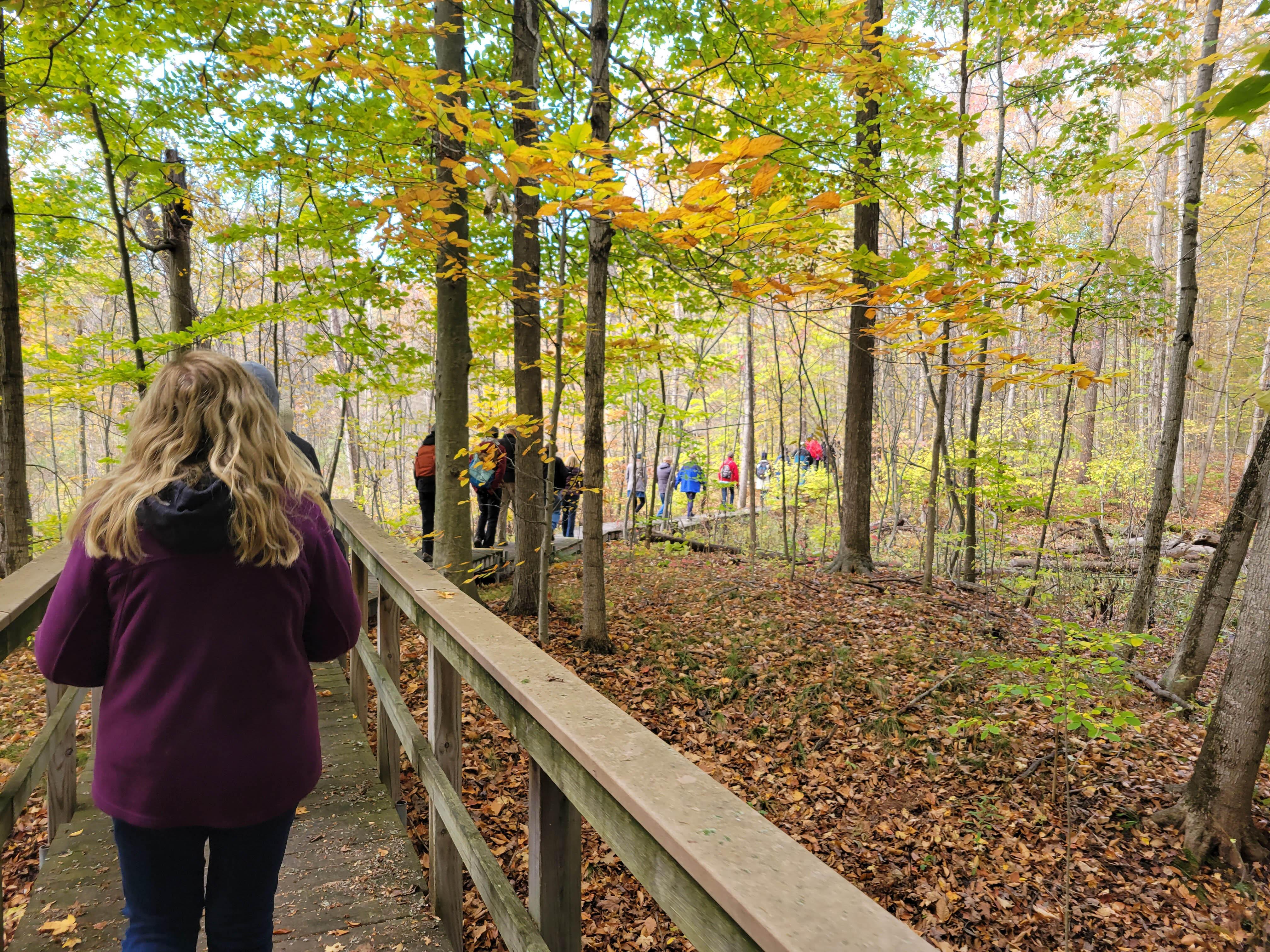 A group of people walk along a wooden boardwalk surrounded by an autumn scene.