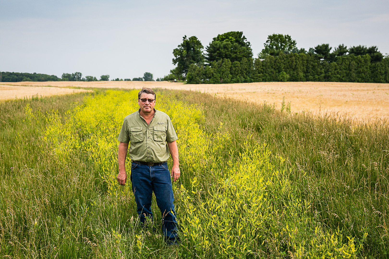 A farmer stands in tall vegetation in farm field.