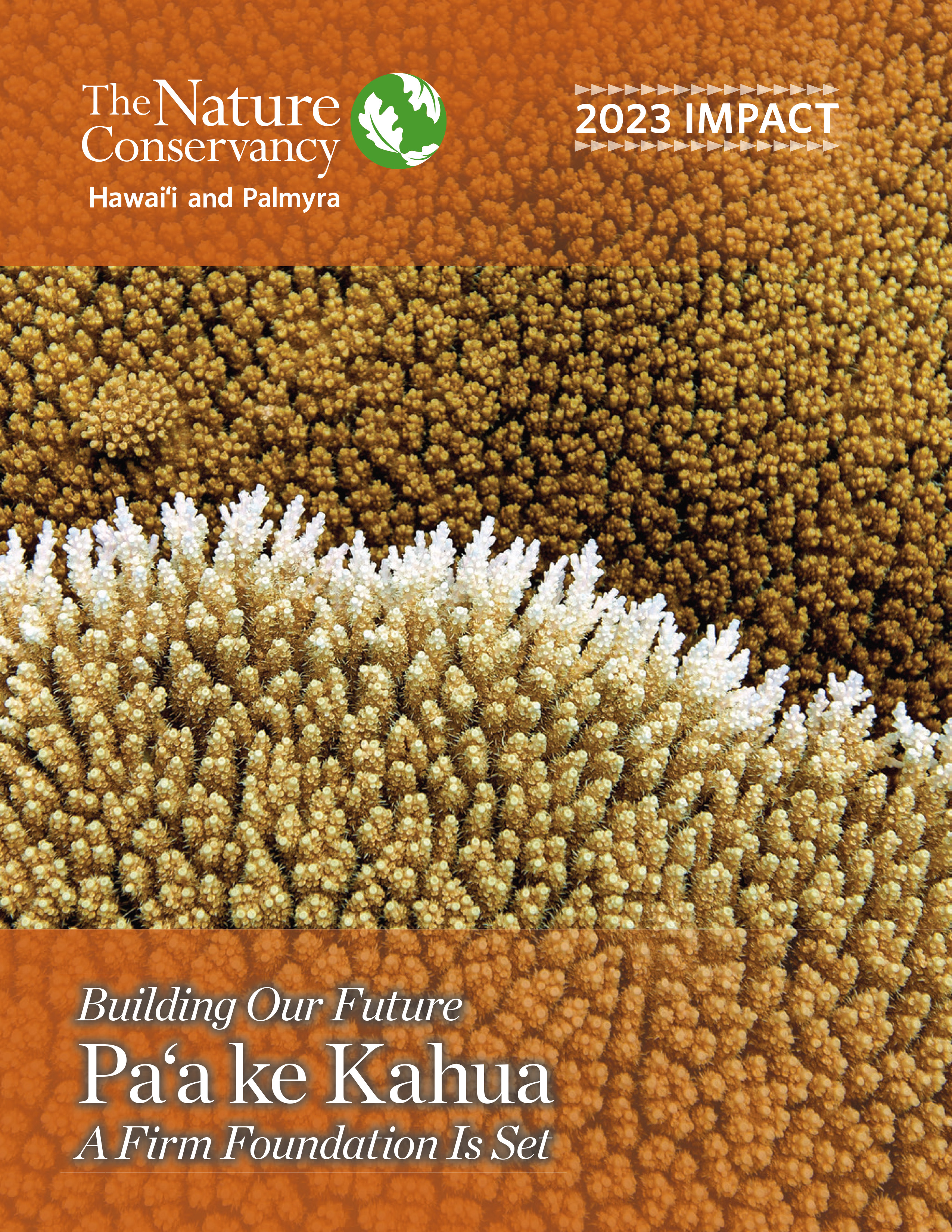 Cover of the Impact Report 2023 featuring orange and yellow coral.