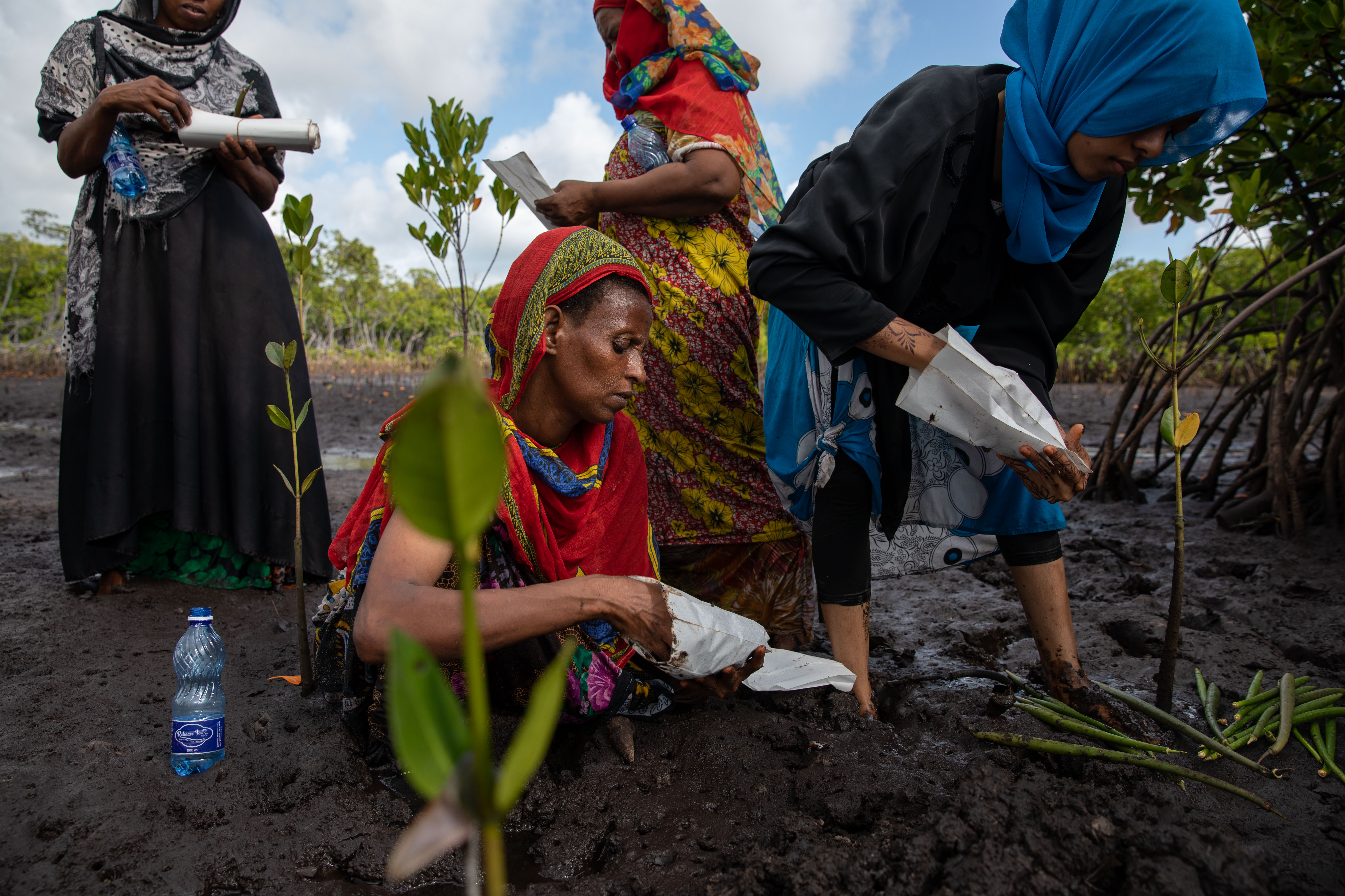 Women prepare bags for planting mangroves.