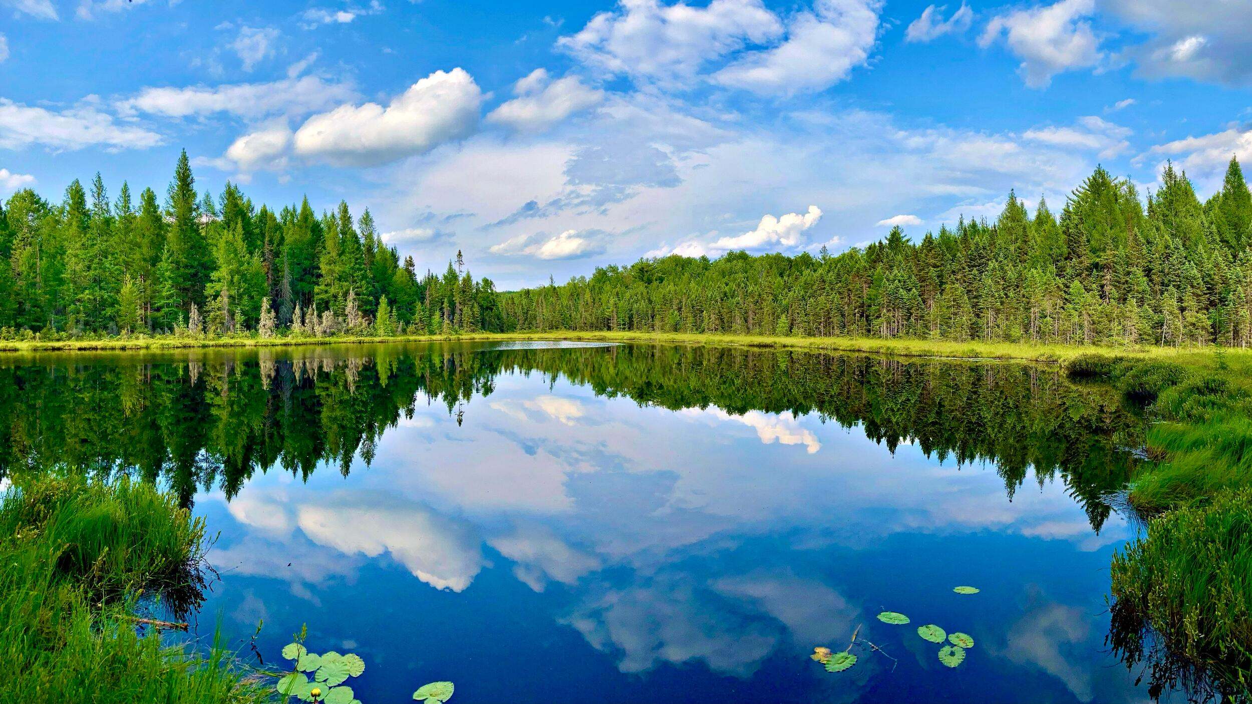 a large calm lake with evergreens surrounding it.