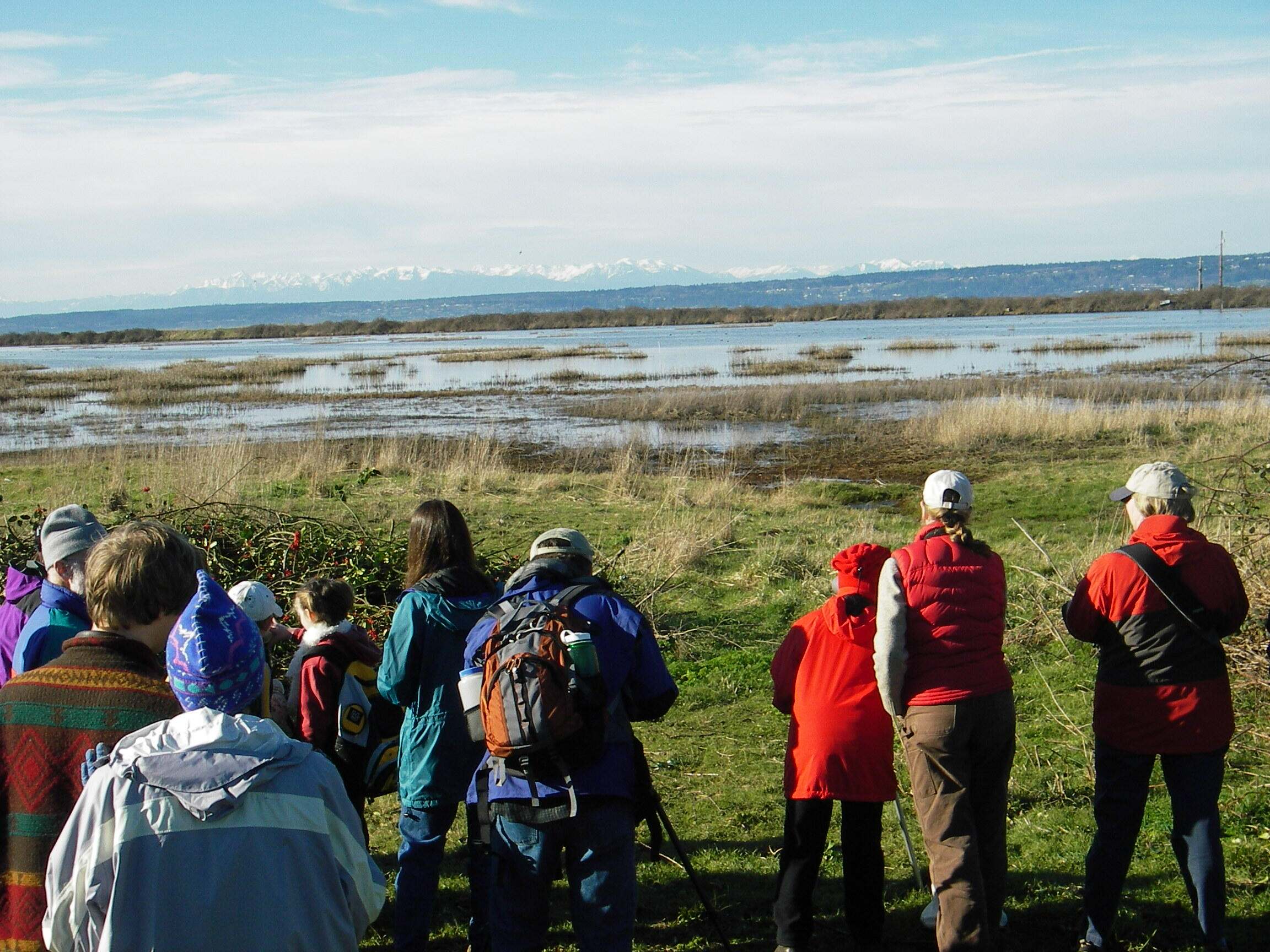 Several people gather at the edge of a wetland and look through binoculars and spotting scopes.