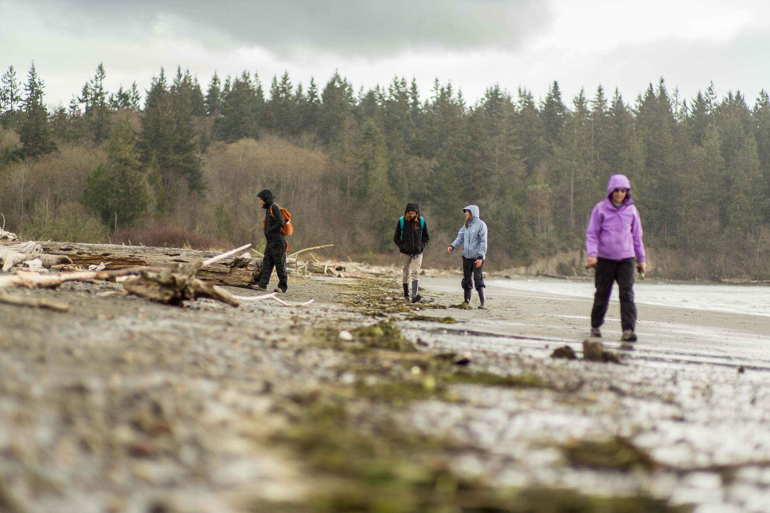 Four people stand on a beach area.