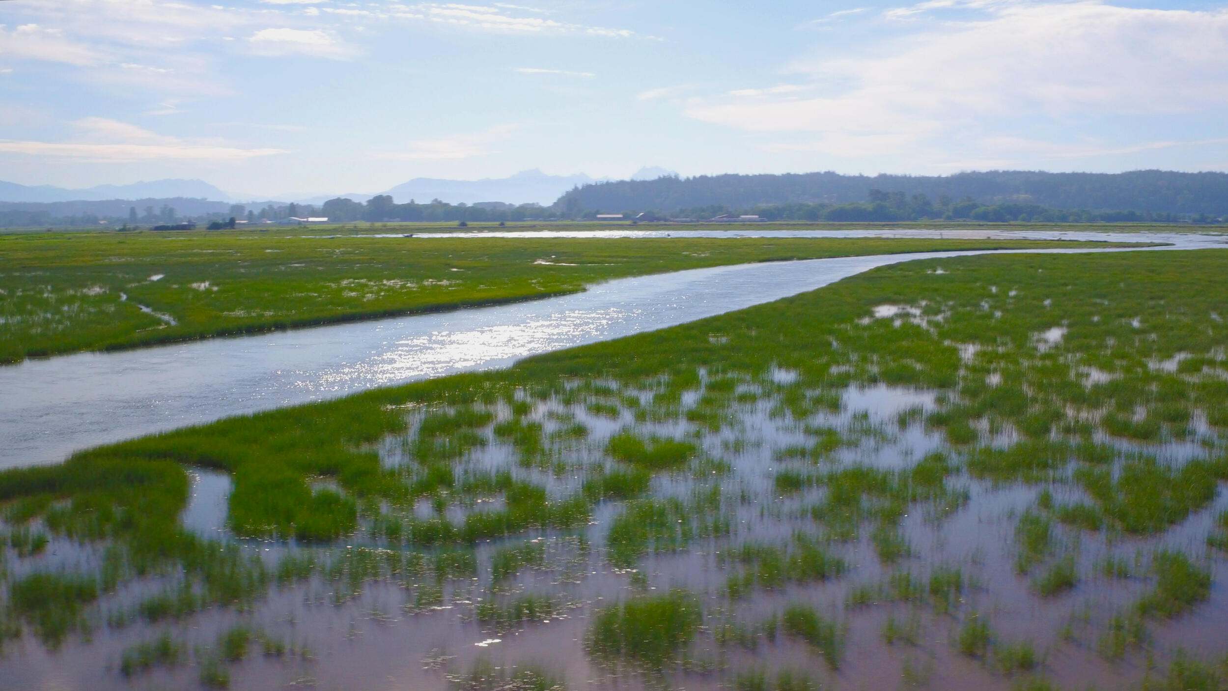 A wide channel of water flows through a green marsh.