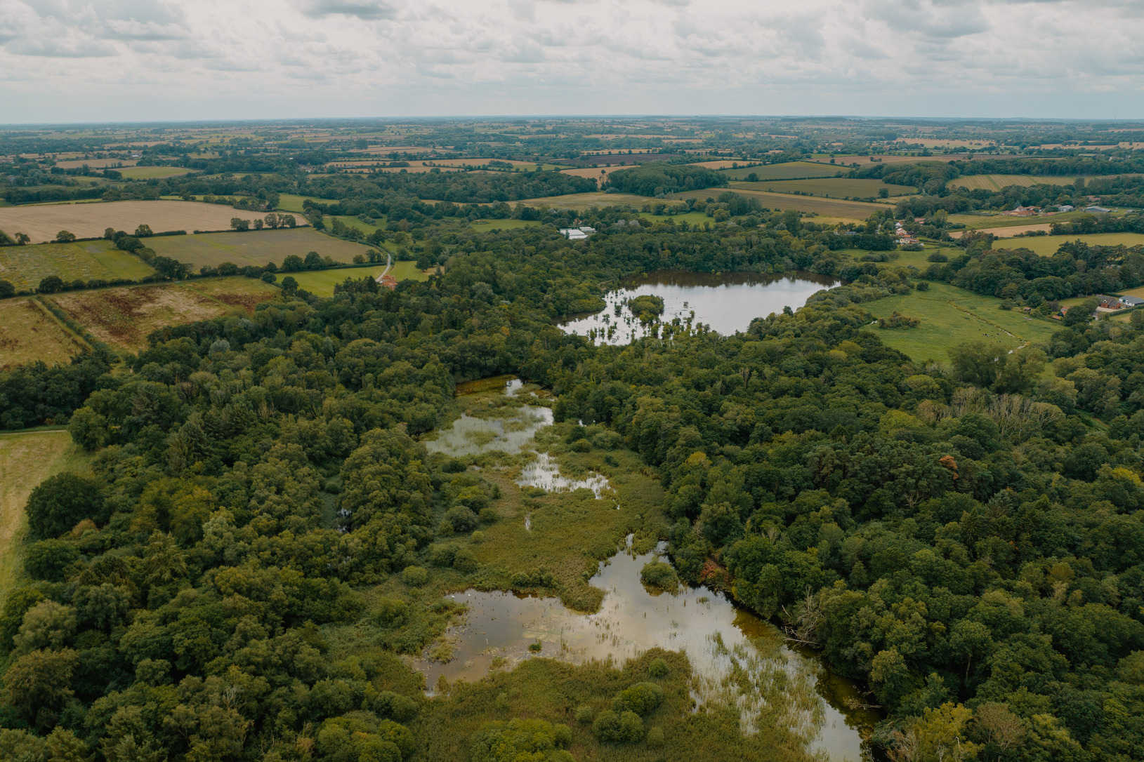 Aerial view of Wendling Beck, Norfolk, UK.